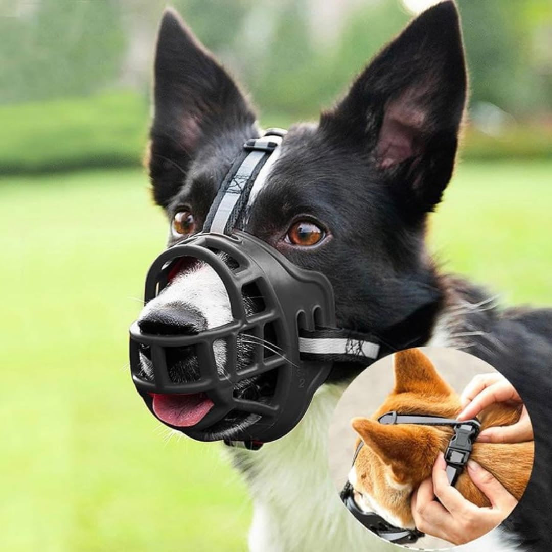 Dog Muzzles