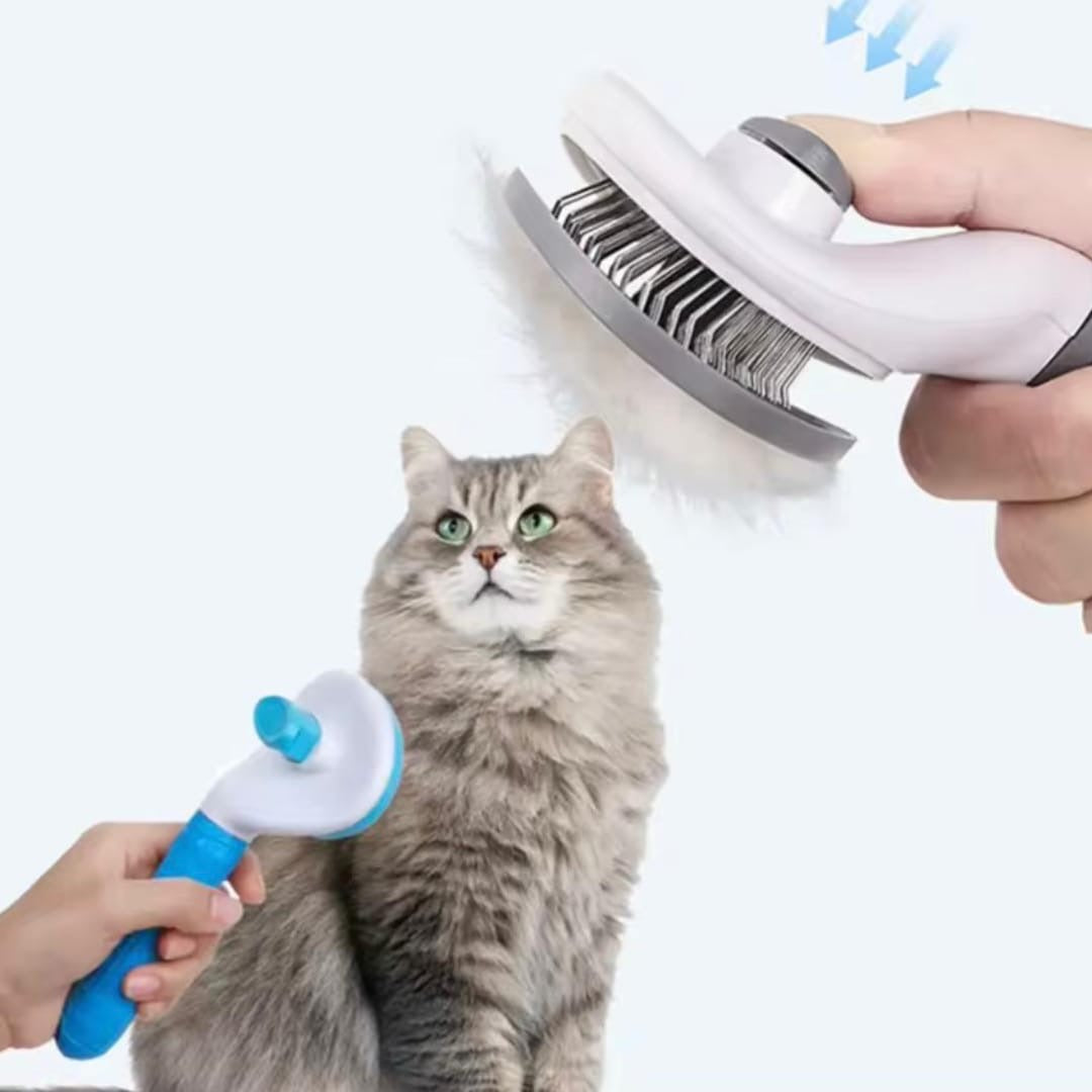 Pet Brush